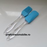 Set pensula si spatula silicon